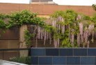 Calliope NSWgazebos-pergolas-and-shade-structures-3.jpg; ?>